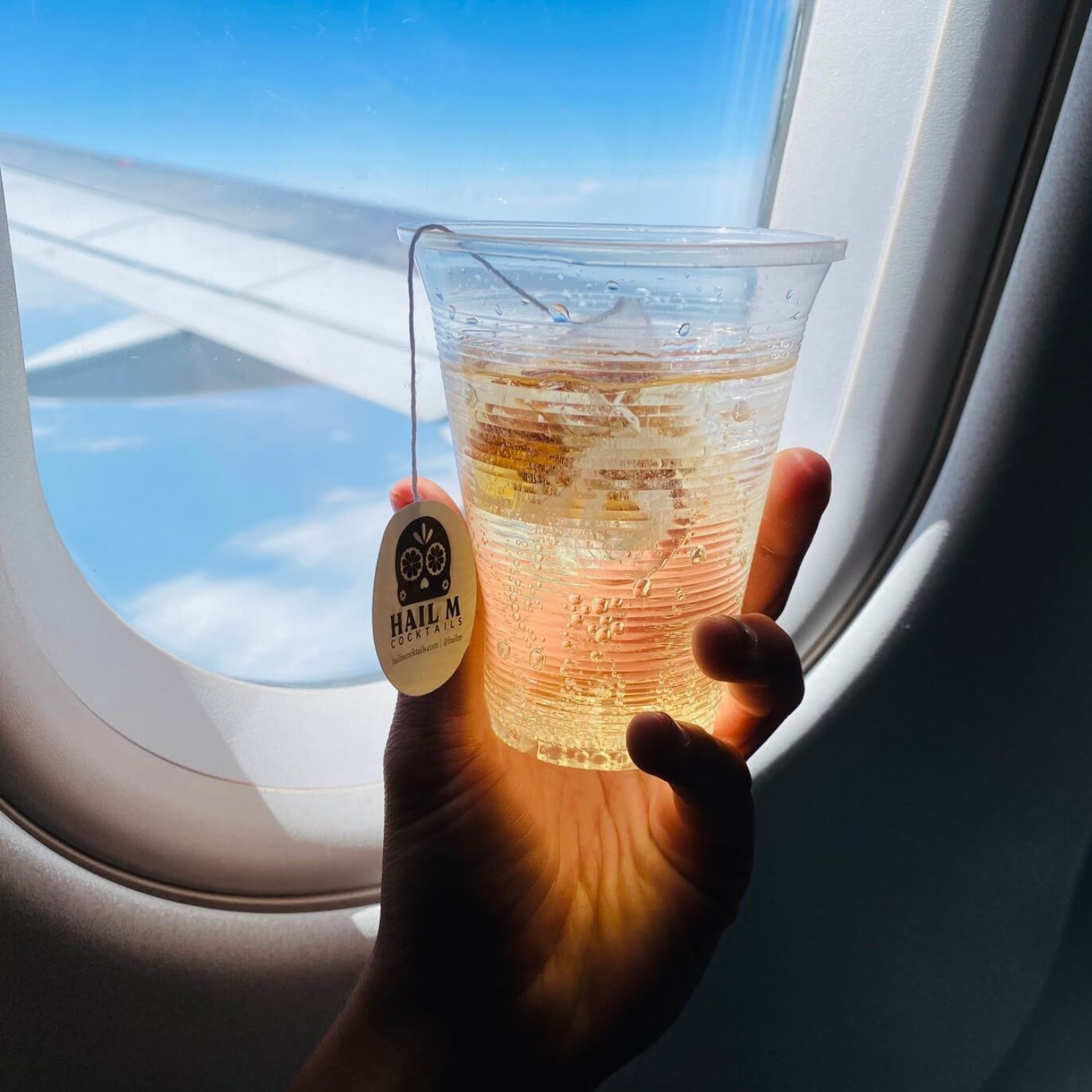 Hail M - Wholesale Cocktail Mix/Syrup - Old Fashioned Sampler Infusion Tea Bag - To Go Travel Mixer5