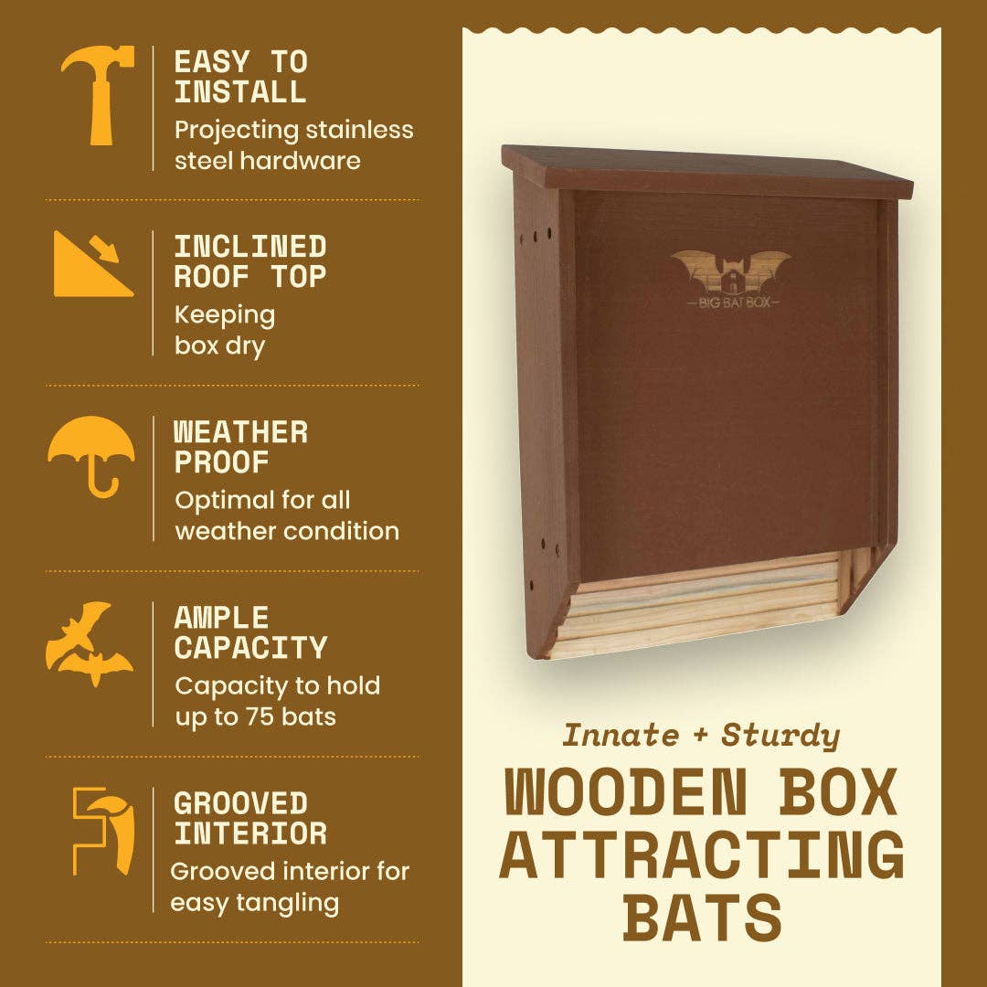 Big Bat Box – wholesale Bird house – Two-Chamber Bat House (Black)3