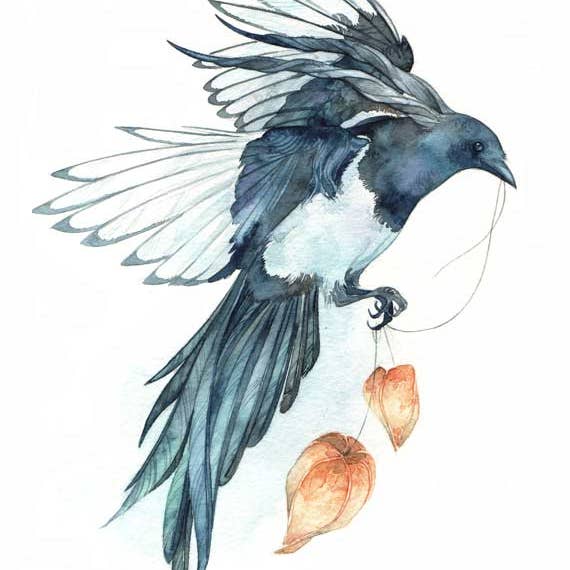 Cartão Magpie - Interior em branco por atacado de Ameluria