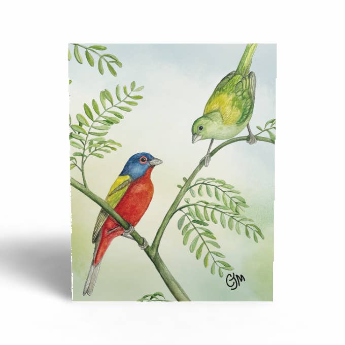 BirdMatch - Wholesale Everyday Greeting Card - Greeting Cards6