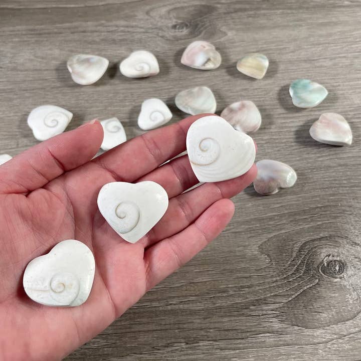 Keystone Crystals - Wholesale Spiritual Stone/Crystal - Shiva Eye Shell Heart – Metaphysical Decor & Gift Item3