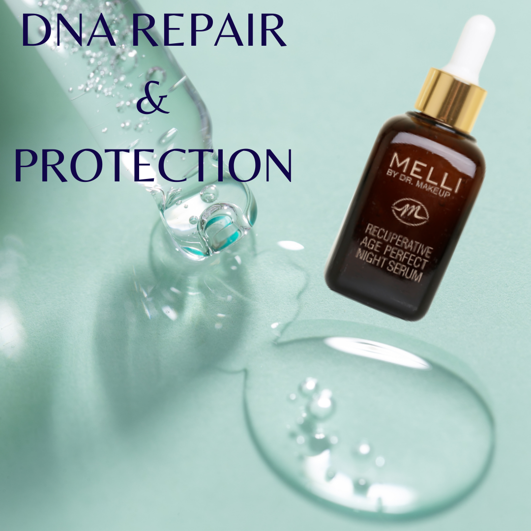 Melli - Wholesale Facial Serum/Concentrate - Recuperative Age Perfect Night Serum 50ml5