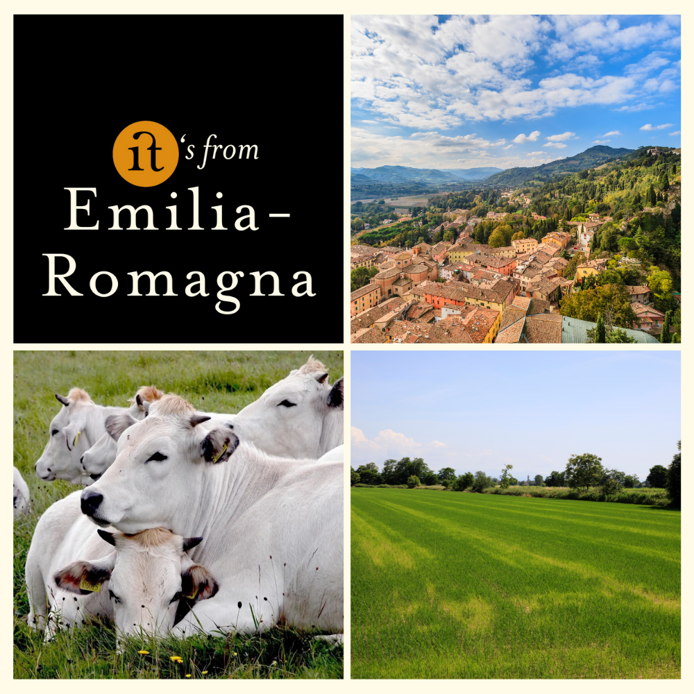 Gourm.it - Wholesale Cheese - Parmigiano Reggiano White Cows 150g. Rich flavor. Modena.3