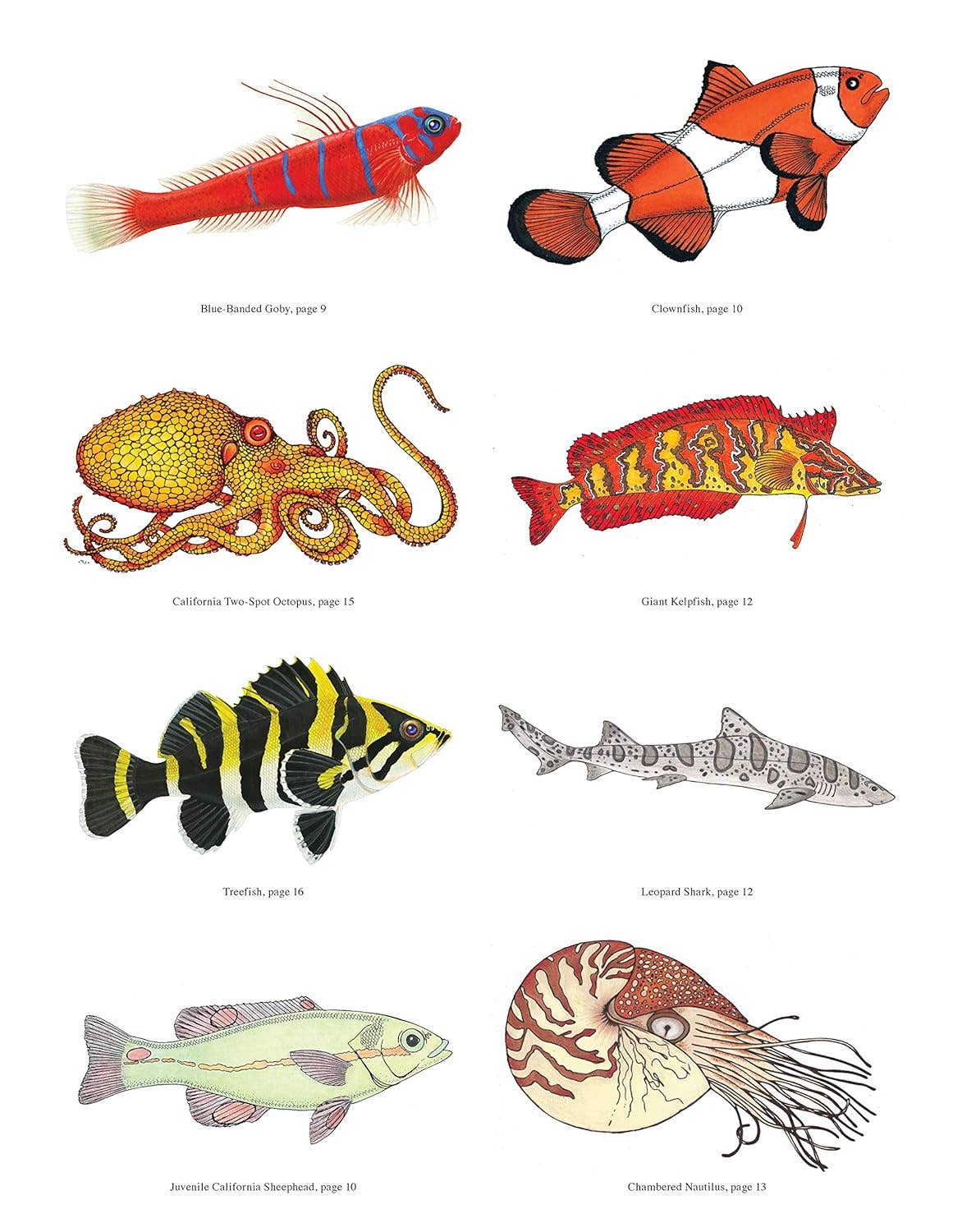 Fox Chapel Publishing - Vendita all'ingrosso Libro da colorare - Bambini e neonati - Libro da colorare Wild Oceans3