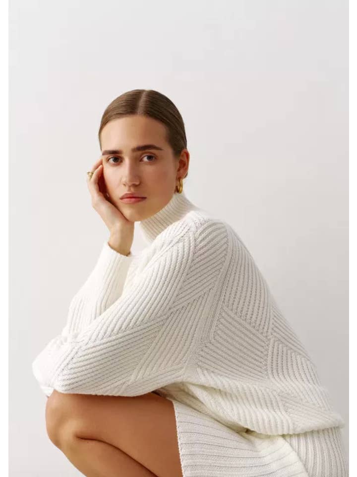 Nenya Fashion Limited - Wholesale Knit Sweater - Women's - High Neck Knitted Sweater With Geometric Print1