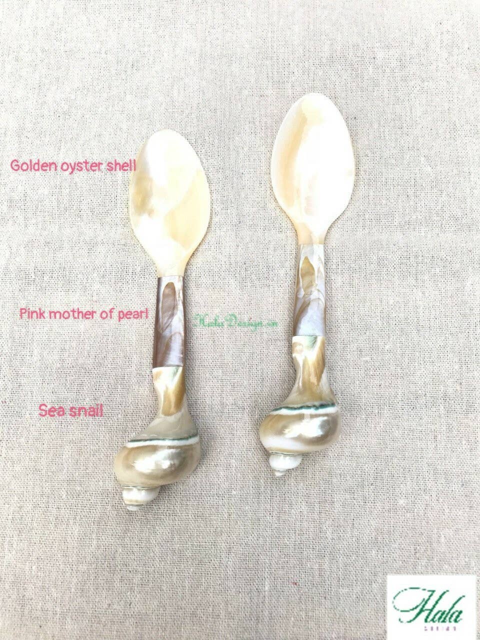 Hala Design - Wholesale Kitchen Spoon - Custom Engraved Oyster and Snail Spoon Length = 16 cm1