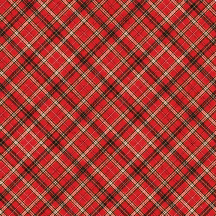 Paper House Productions - Wholesale Inpakpapier - Merry & Bright Tags Dubbelzijdig 12x12 papier2