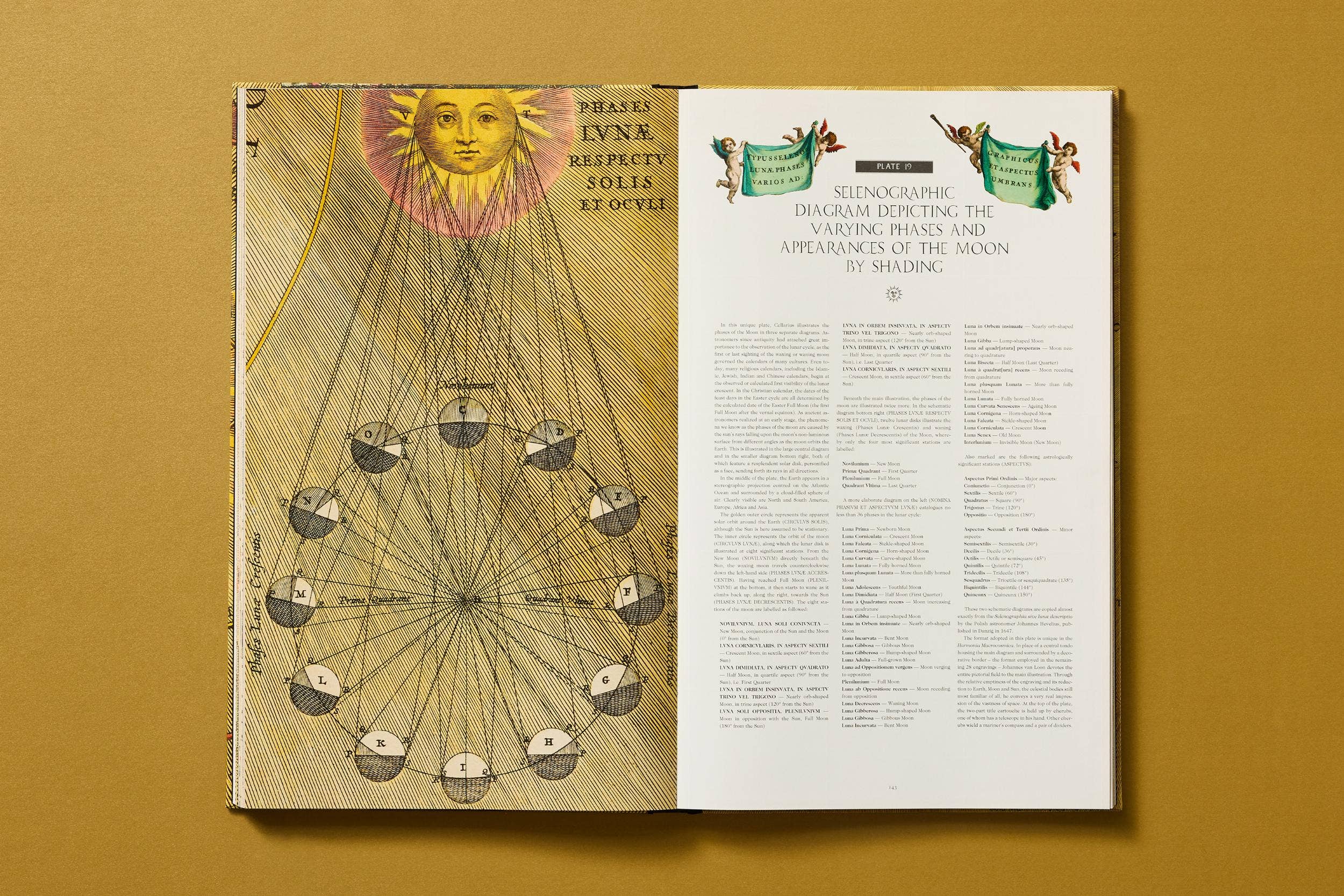 TASCHEN Europe - Wholesale Reference Book - Cellarius Atlas (German, French, English)19