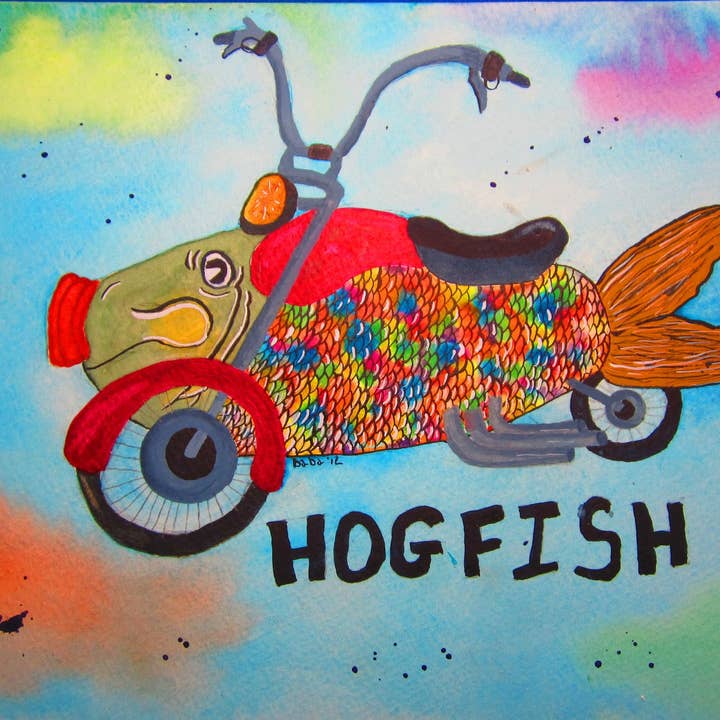 Hogfish für den Großhandel von Fish Tales at The Beach