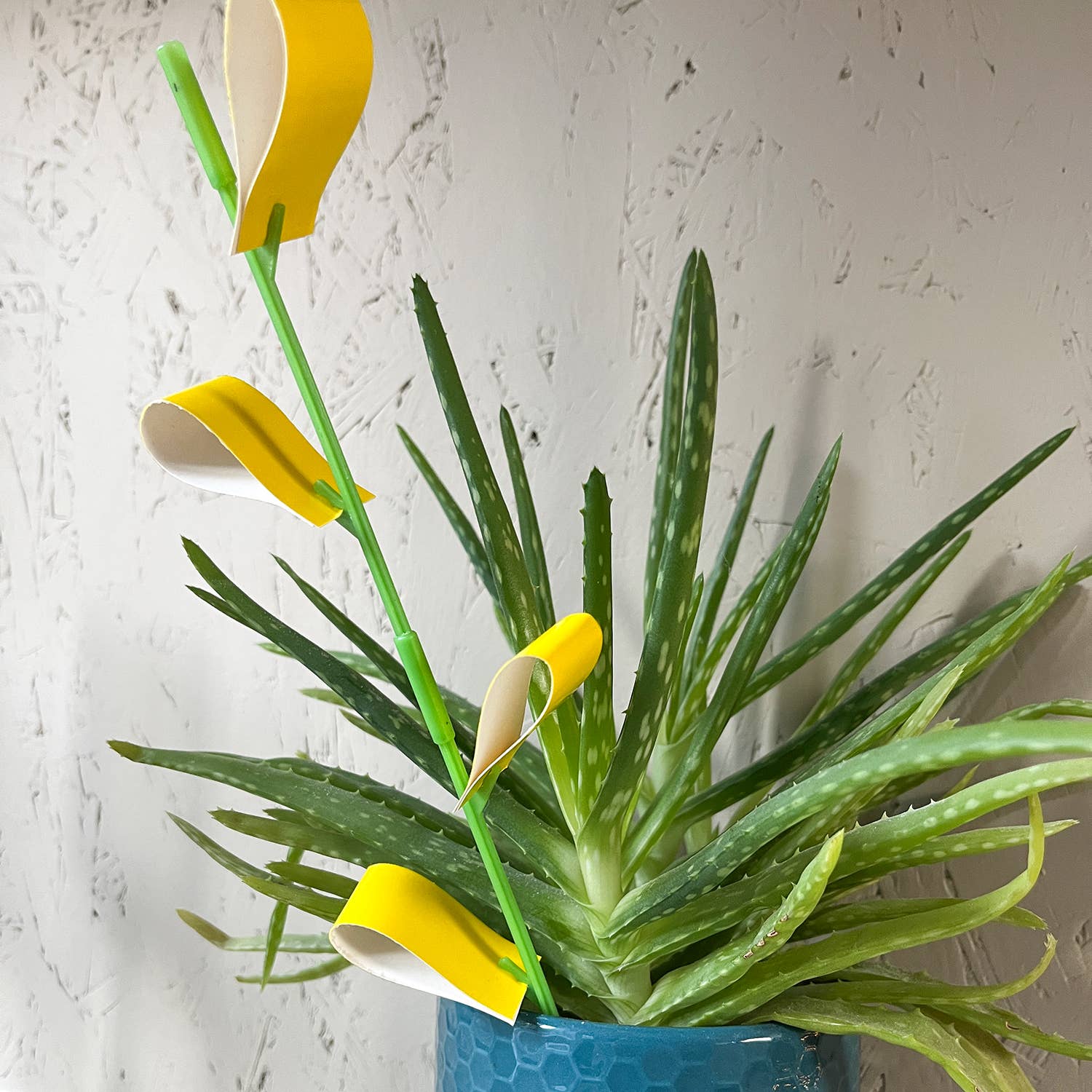 Botanopia - gifts , decor and cards for plant lovers – Großhandel Gartenwerkzeug – SOS Pflanzenset – Rettung kranker Pflanzen Blatt für Blatt6