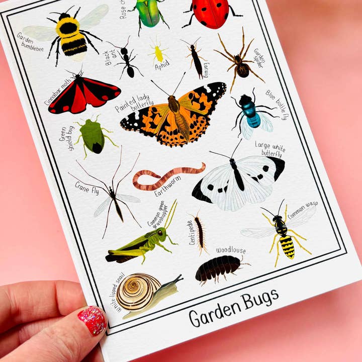 Pixiecraft - Wholesale Art Print - Garden Bug Wall Art Print: Nature Inspired Educational Prints6