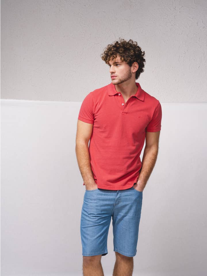 SMF - Wholesale Polo - Men's - 238554 - Embroided pike polo with pigmitation11