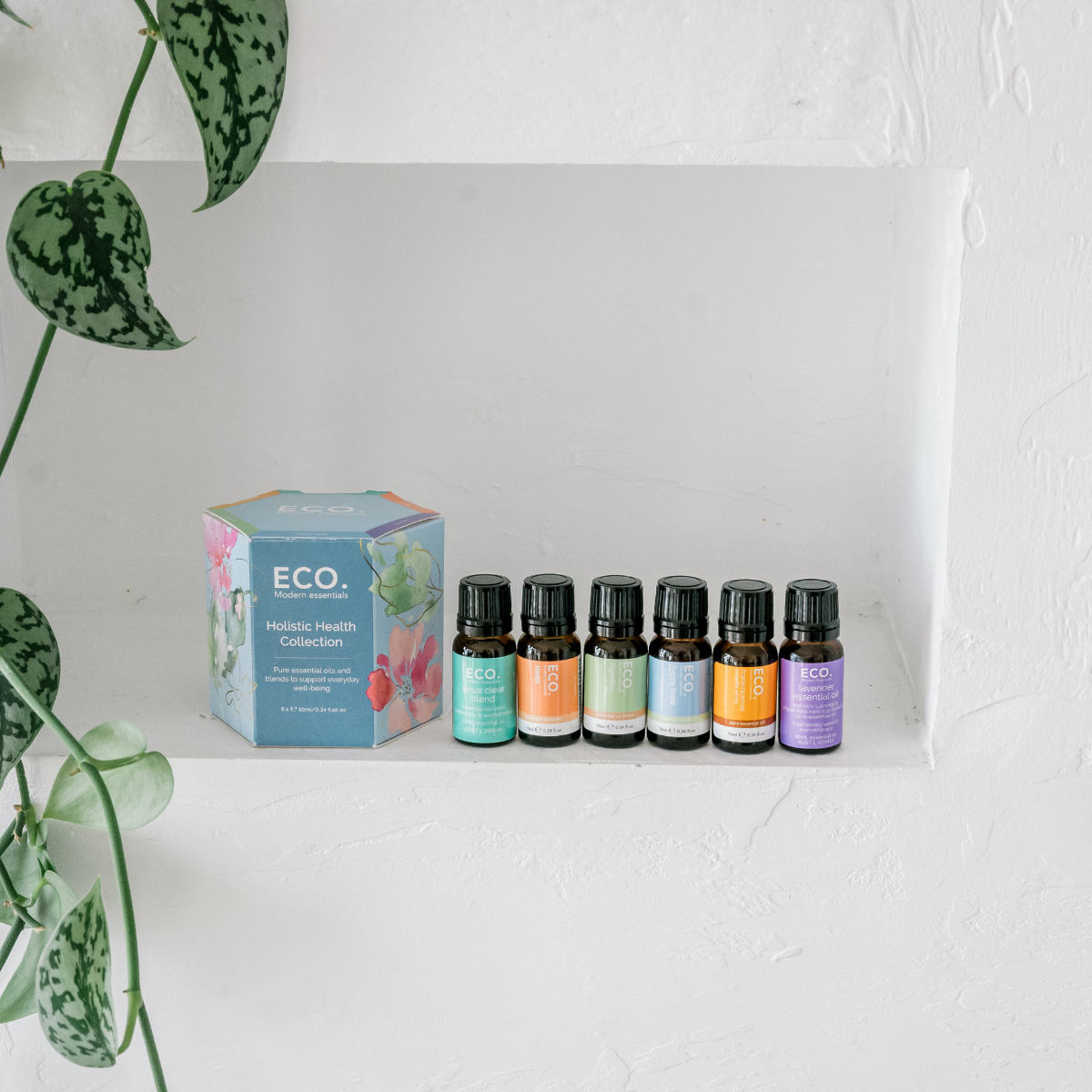 ECO. Modern Essentials - Wholesale Essential oil - Holistic Health Collection1