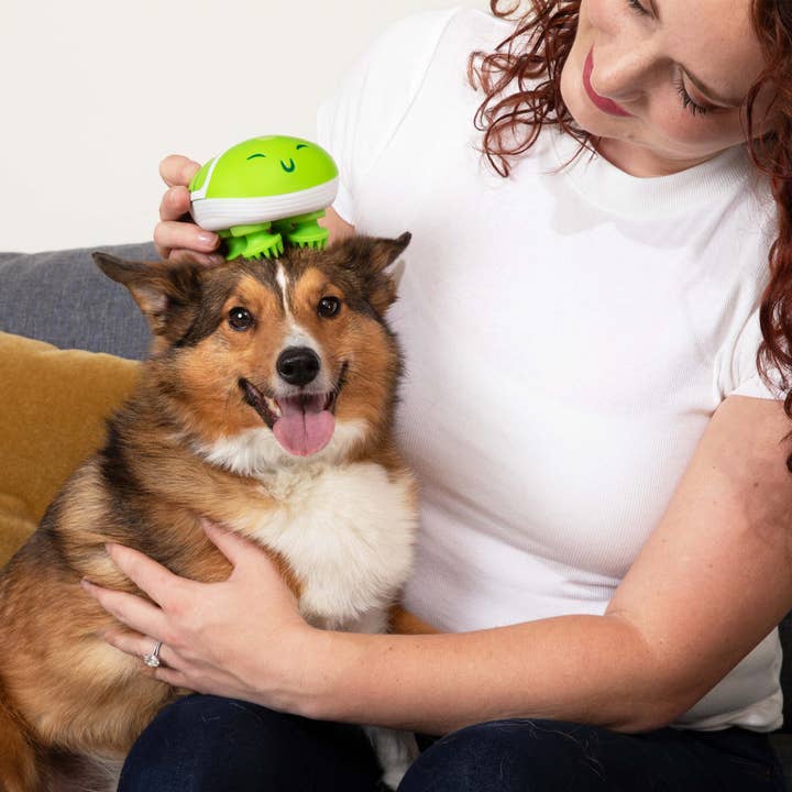 What Do You Meme - Wholesale Pet Toy - Dog - Paws & Relax: The Ultimate Pet Massager