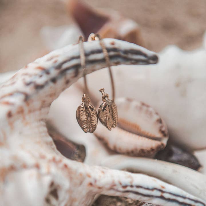 CLAM for wholesale by Selvatica