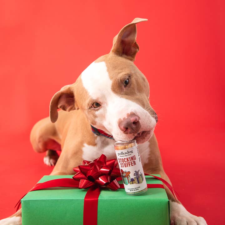Polkadog - Vente Friandises – chien - Holiday Mini Tube : Stocking Stuffer - Friandises pour chiens1