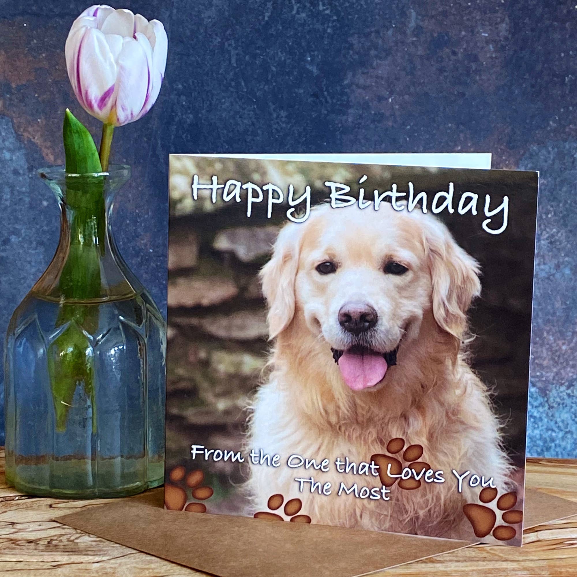 Alex Sharp - Wholesale Birthday Card - Happy Birthday from the dog -Birthday Card from the dog1