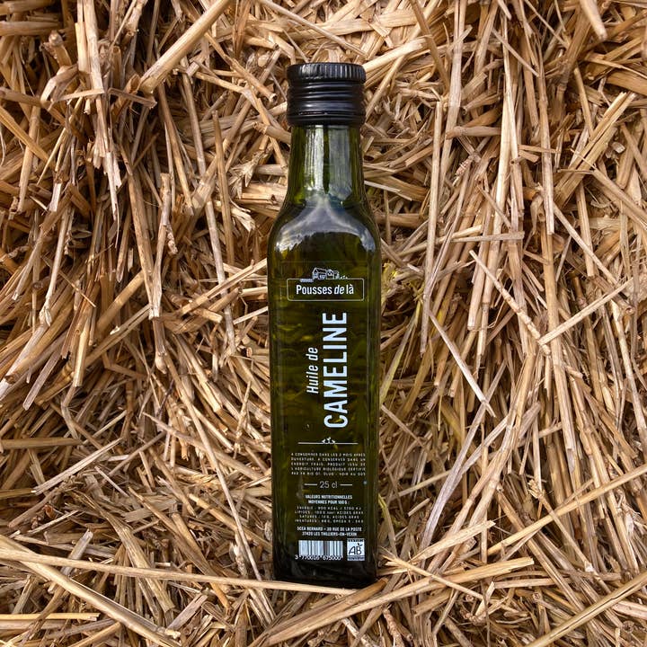 Pousses de là - Wholesale Essential Oil - CAMELINA OIL AB 25CL0