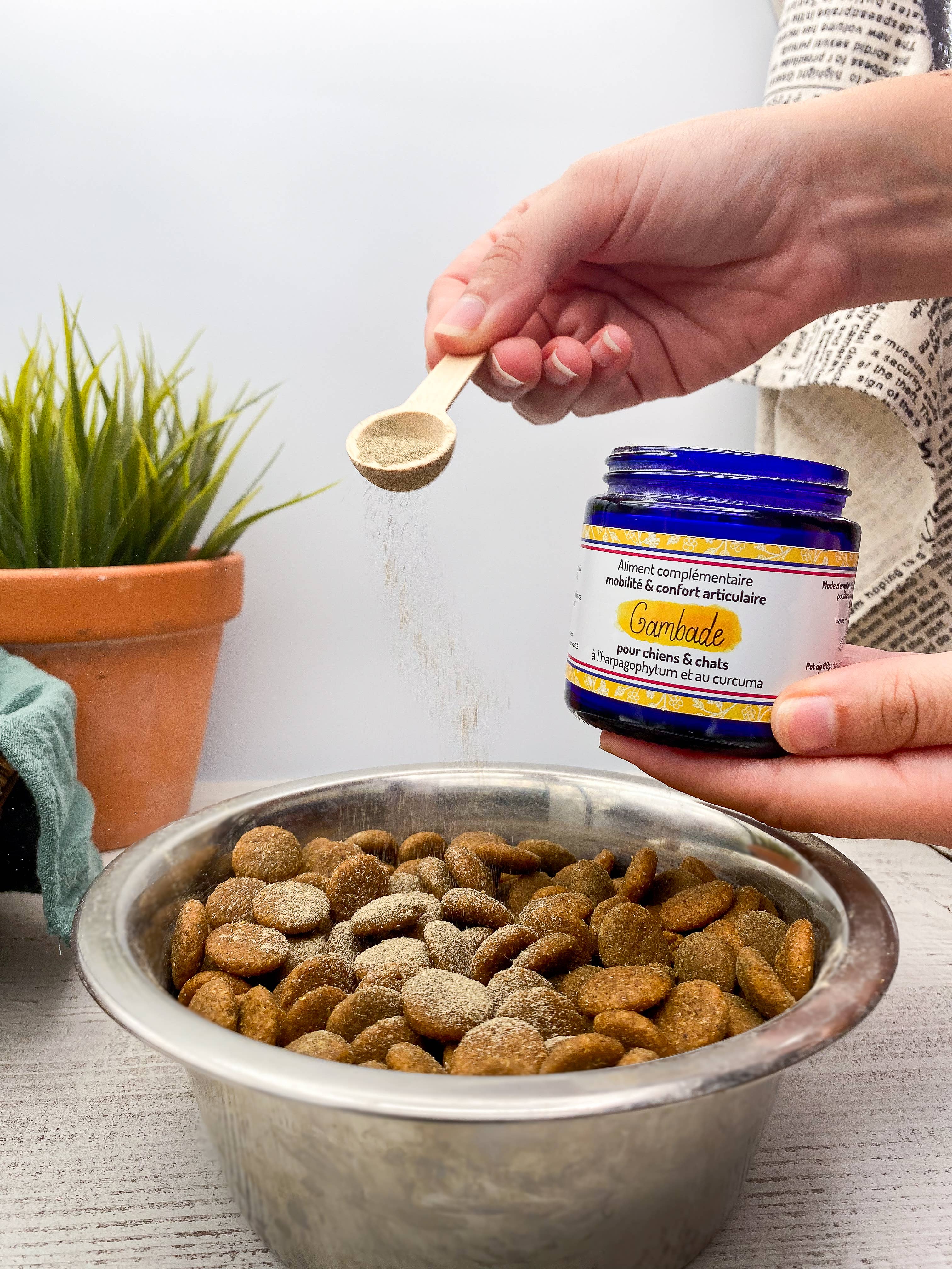 Truffe & Moustache - Vente Compléments alimentaires – chat et chien - Confort articulaire – Cure courte – Complément alimentaire6