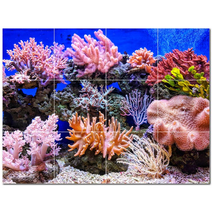 Sea Life Ceramic Tile Mural PT500427 for wholesale by Picture-Tiles.com