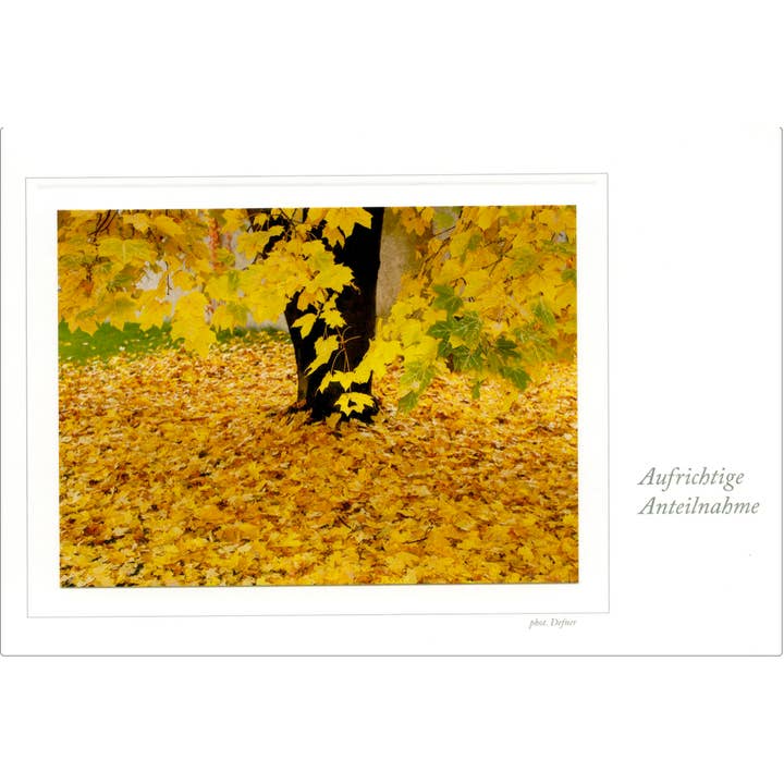 cartão de simpatia por atacado de Defner Photo Verlag seit 1919