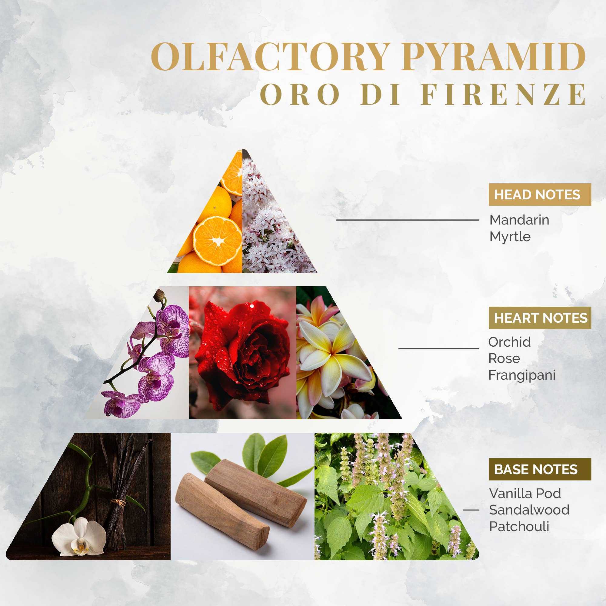 Logevy Firenze 1965 - Wholesale Room & linen spray - Oro di Firenze Room Fragrance Spray 75ml2