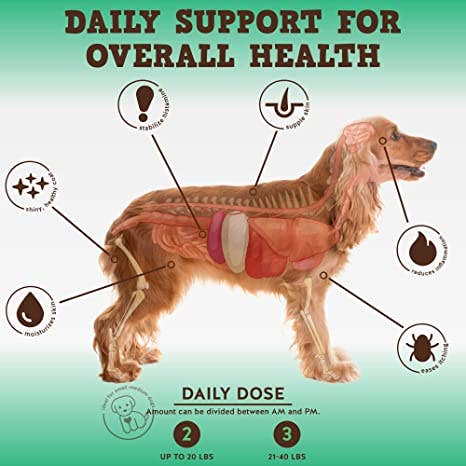 J&C PET SUPPLY LLC - Wholesale Pet Supplement - Dog - Aller-Care Immune & Allergy Supplement (60ct)