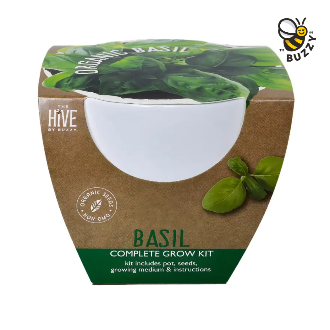 Buzzy Seeds Grow Gifts - Wholesale Plant Seeds - Classic Organic Basil Grow Kit – Timeless Ceramic Gift0