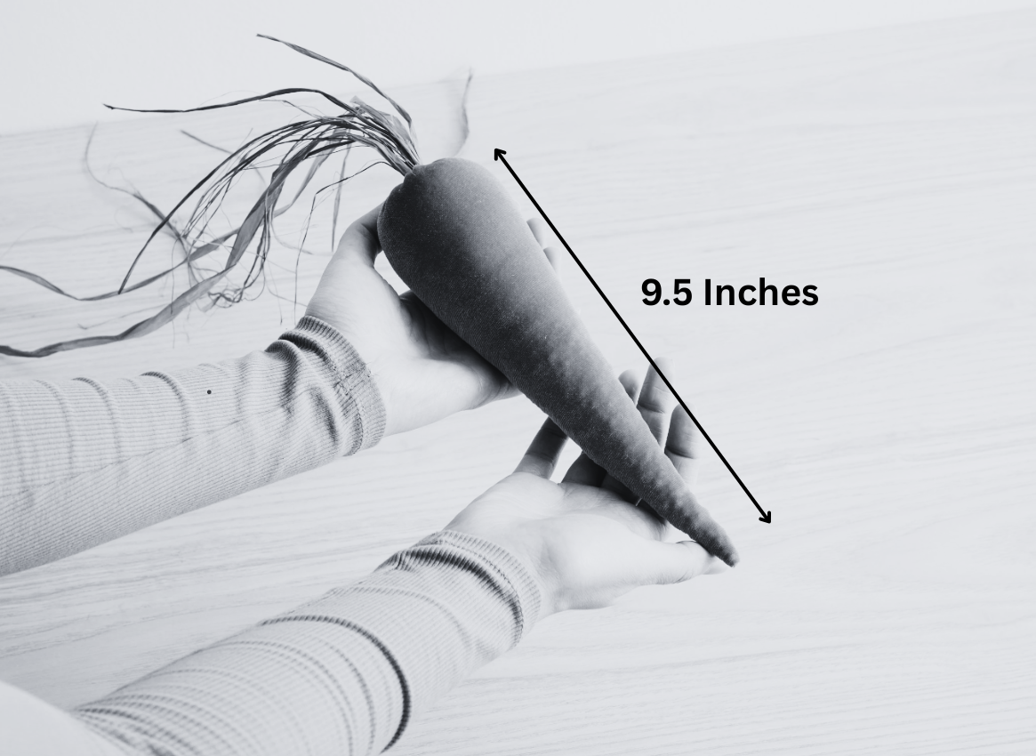 Your Heart's Content - Wholesale Decorative Tabletop Object - Velvet Carrots, Harvest Lush Colors, Unique Wall Hanging10