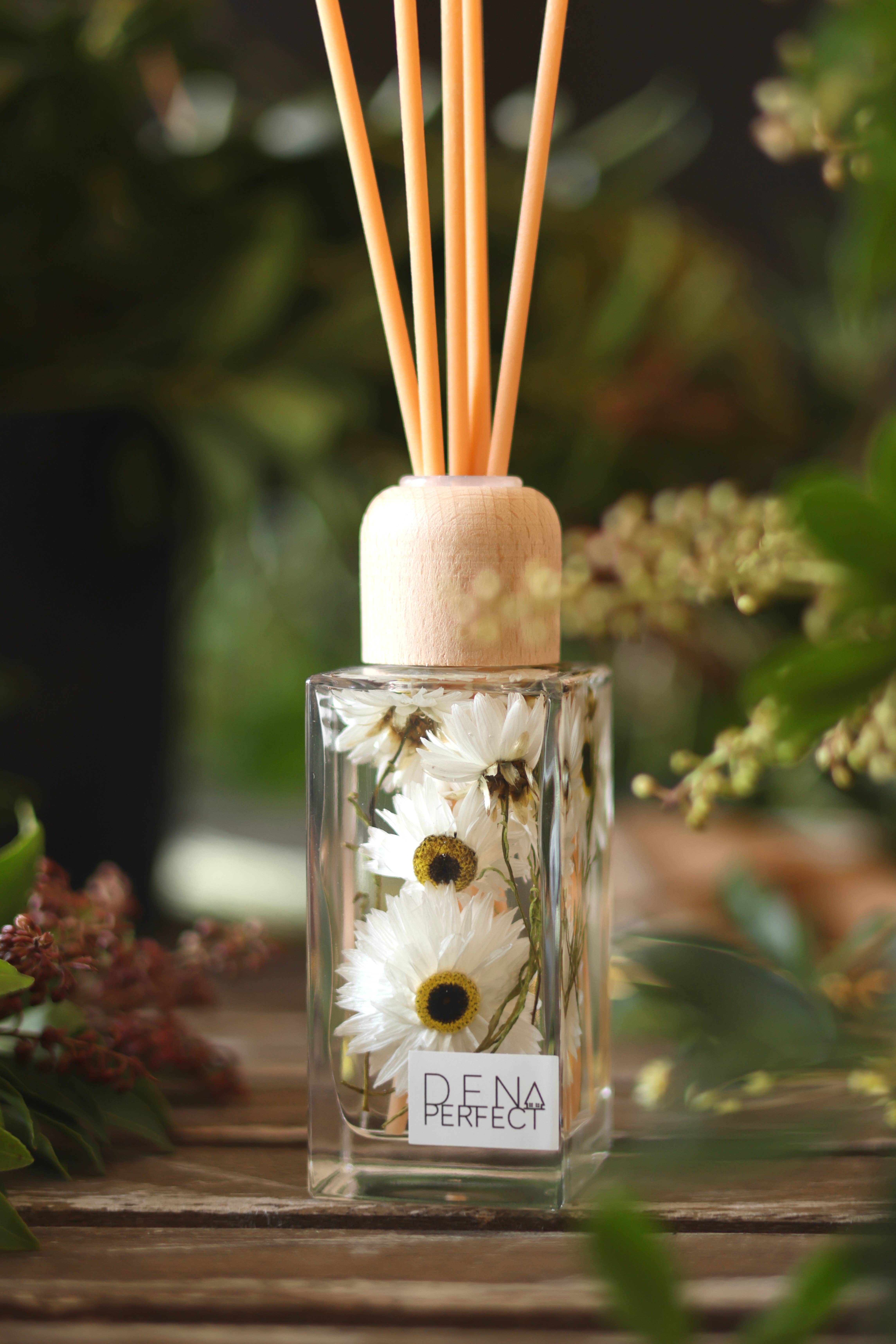Den Perfect – Großhandel Reed-Diffusor – Daisy Botanical Reed Diffuser von Den Perfect2