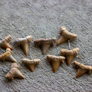 Cold River Mining - Wholesale Pendant/Charm Necklace - SHARK TOOTH NECKLACE PACK OF 20