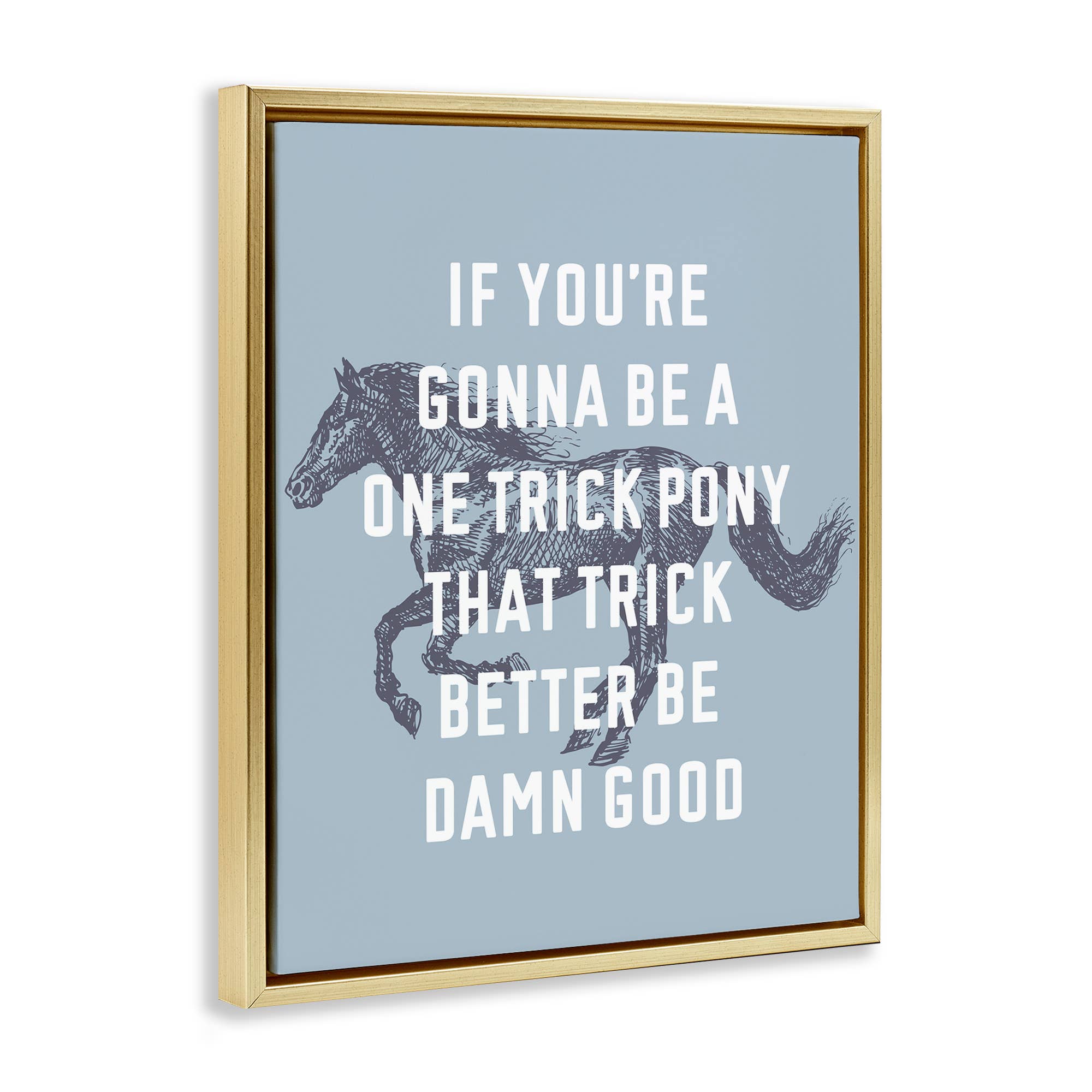 Stupell Industries - Wholesale Wall Decor - Kids & Baby - One Trick Pony Phrase Floater Framed Art18