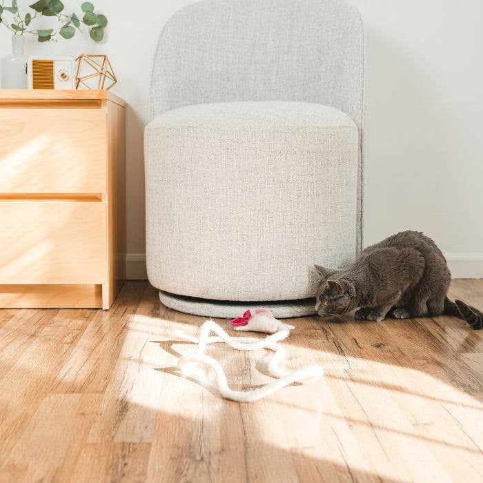 Cat in the Box LLC - Wholesale Pet Toy - Cat - Wool Axolotl Cat Toy with a 5-Foot Long Tether6