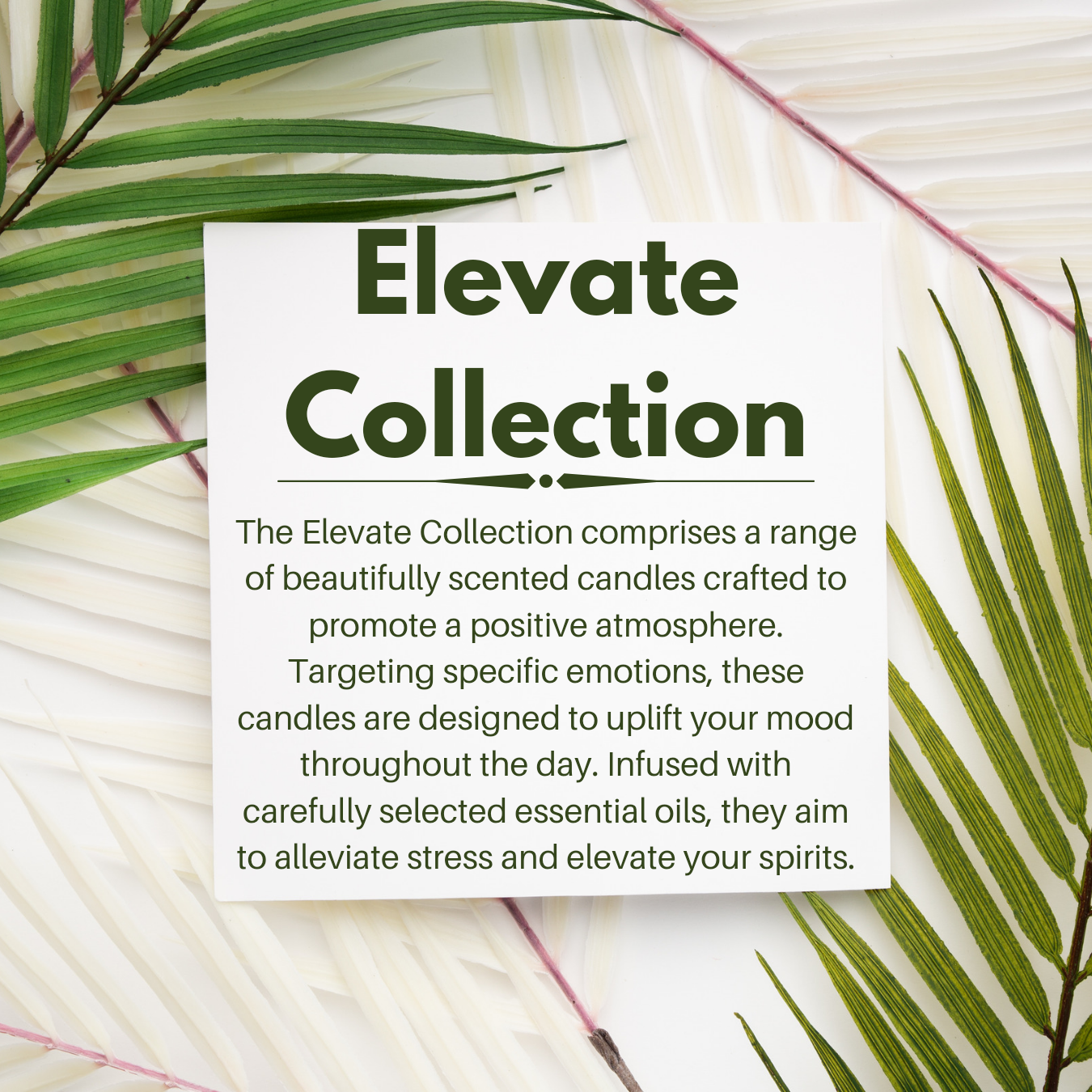 Cakaza – wholesale Jar/filled candle – Elevate Collection: Enhance Candle3