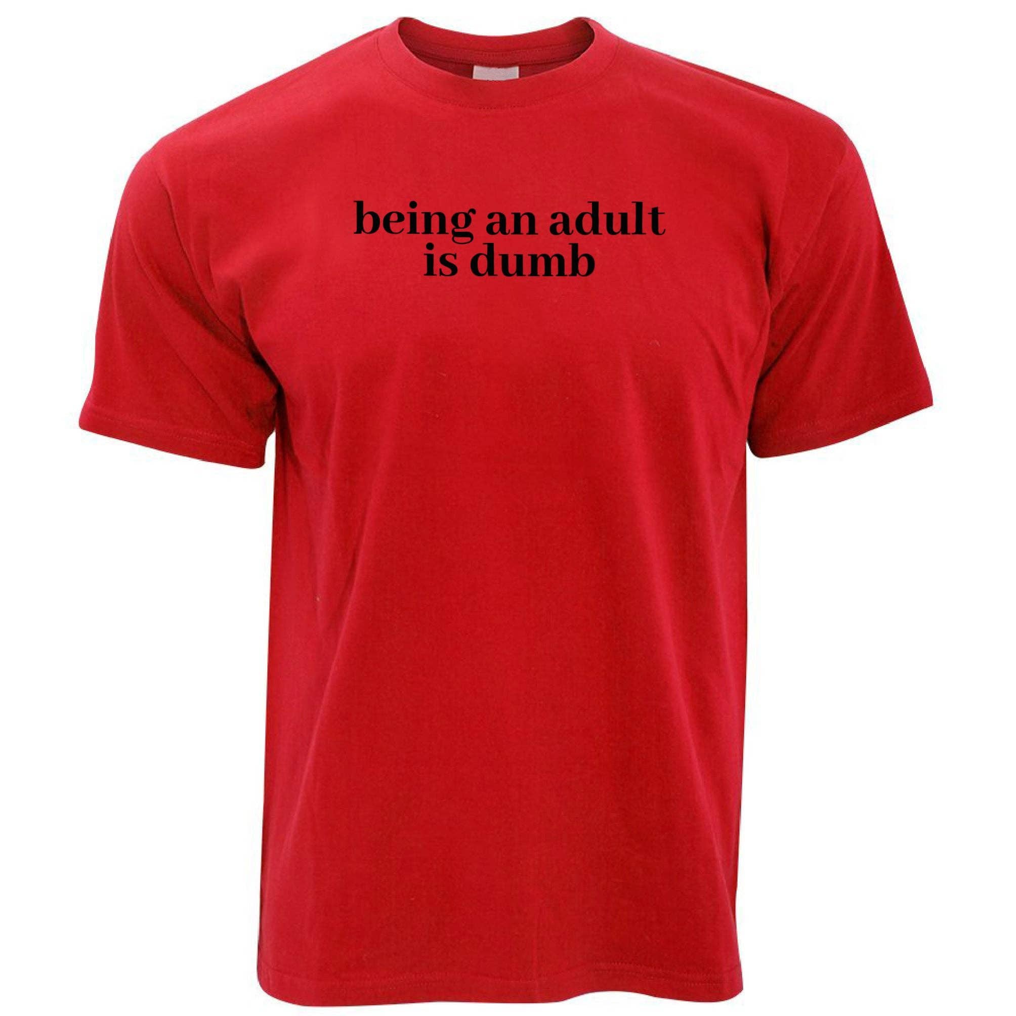 PIGMENTIFY - Wholesale Screen Printed T-Shirt - Men's - Mens Novelty Slogan Being An Adult Is Dumb T-Shirt3