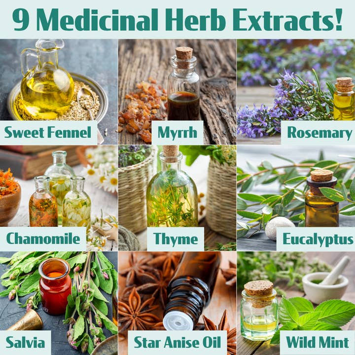 LACALUT - WHOLESALE - Wholesale Toothpaste - LACALUT® HERBAL 75ml - RRP $13.951