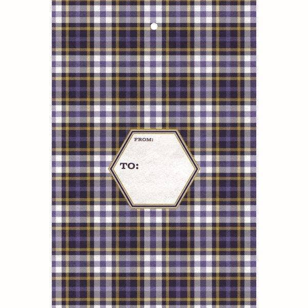 Jillson & Roberts - Wholesale Envelopes - Blue Plaid - Mailing Envelopes - Large0
