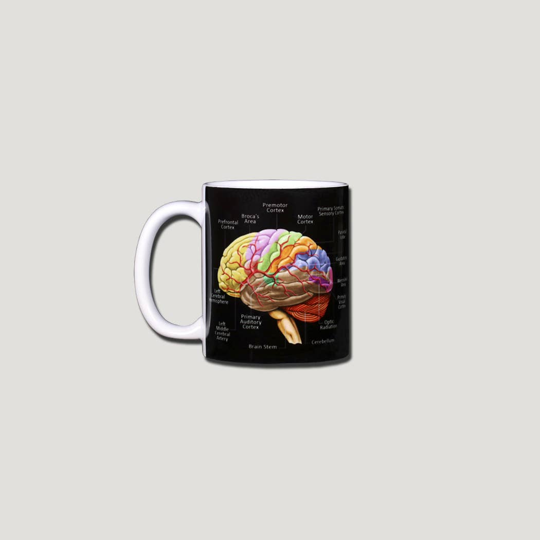 Atlas Screen Printing - Wholesale Coffee Mug - Brain Ceramic 11 oz Ceramic Mug0