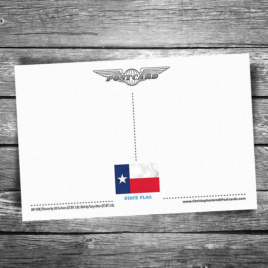 Christopher Arndt Postcard Co. - Wholesale Postcard - Greetings from Texas Postcard1