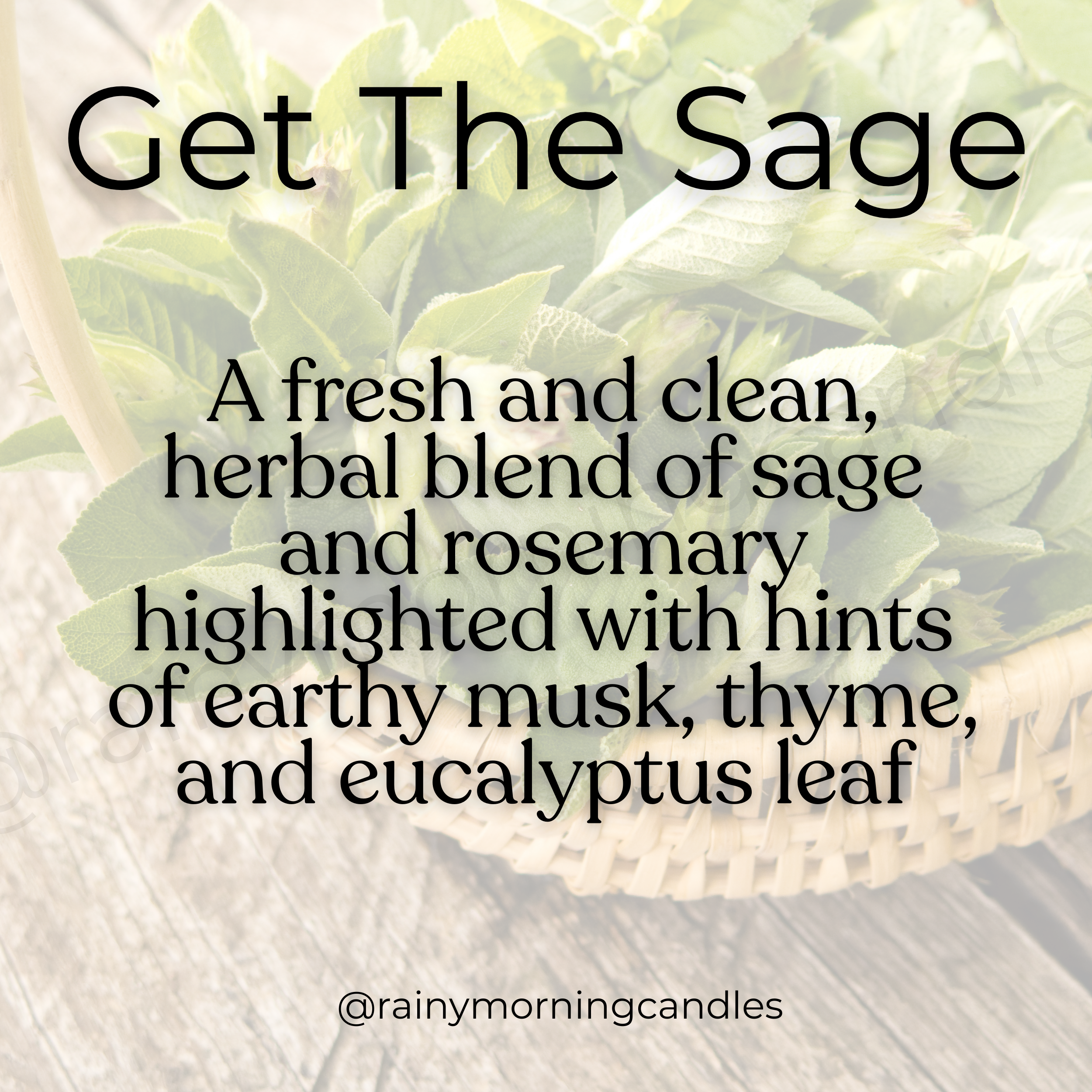 Rainy Morning Candles - Wholesale Wax Melt - Get The Sage! | Wild Sage | Take My Last F! Wax Melts3