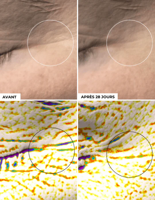 DERMEDEN - Wholesale Anti-Aging Moisturizer - Rich Cream2