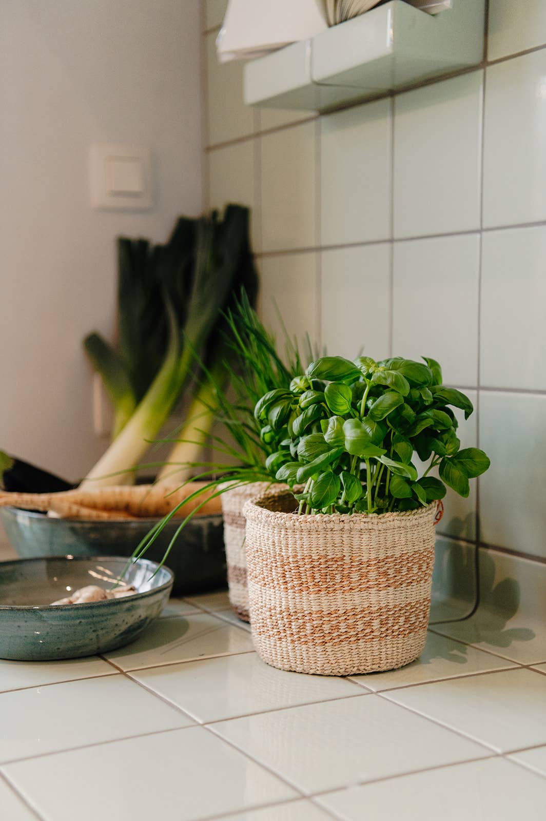 Crafts by Solid - Wholesale Basket - Handwoven Sisal Baskets - Natural Hues - XXS - XXL54