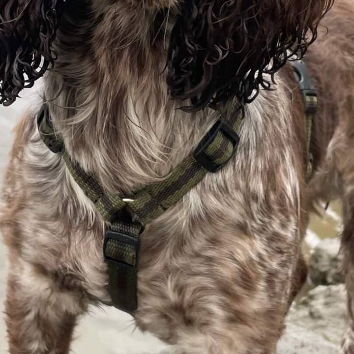 Reg&Bob Harness - S/M - Khaki stripe for wholesale by Reg&Bob