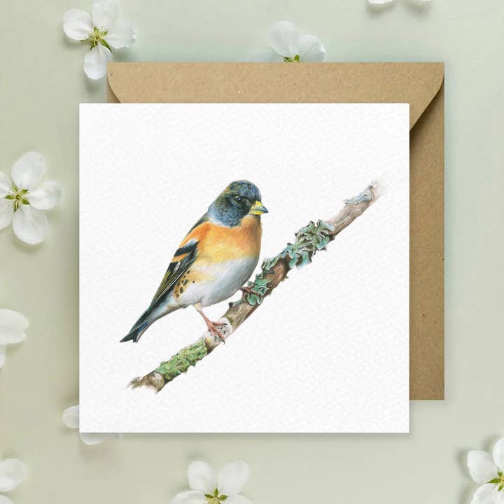 'Brambling' Greeting Card for wholesale by Kimberley Dewhurst Art