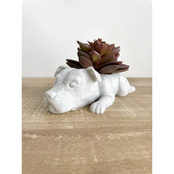 3DCustomPrintsUS – wholesale Planteringslåda – Amerikansk Pit Bull Terrier-kruka