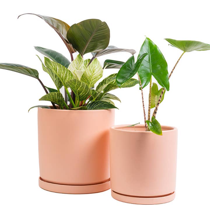 10.5" (1 pc) + 12.5" (1 pc) Cylinder Pots w/ Water Saucers for wholesale by Momma Pots