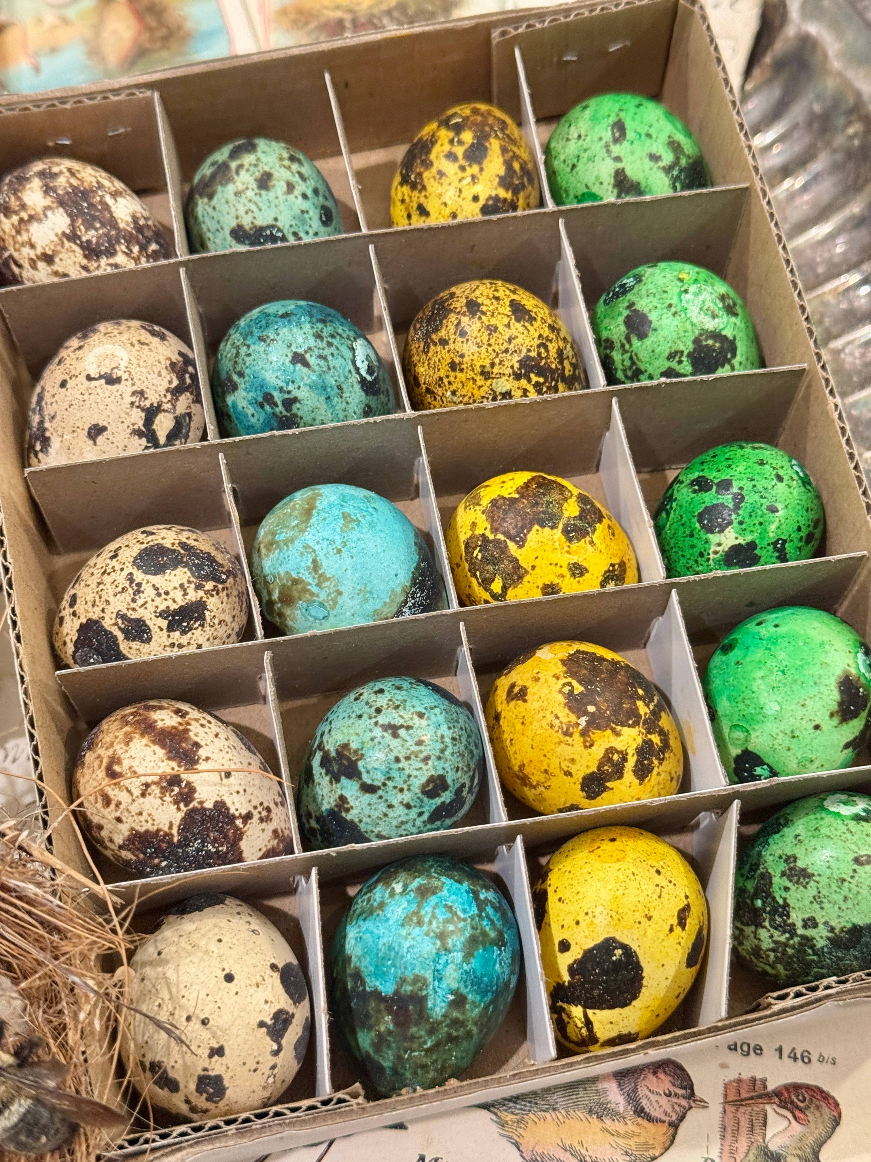 Monahan Papers - Vendita all'ingrosso Decorazioni da tavolo - Set di 20 uova di quaglia decorative colorate1