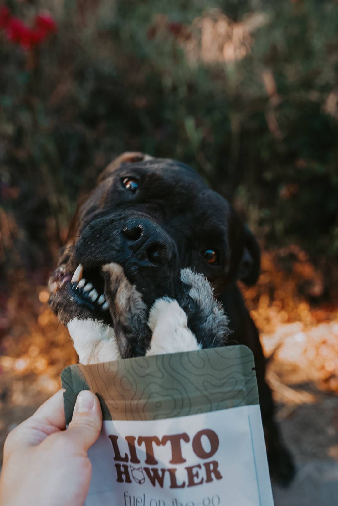 Litto Howler - Wholesale Pet Treats - Dog - Wild Rabbit Feet | 12 Count 3