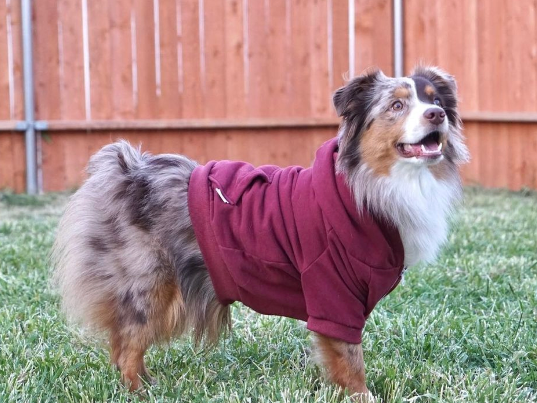 Milltown Brand - Wholesale Pet Hoodie - Dog - Zip Up Dog Hoodie  - Burgundy5