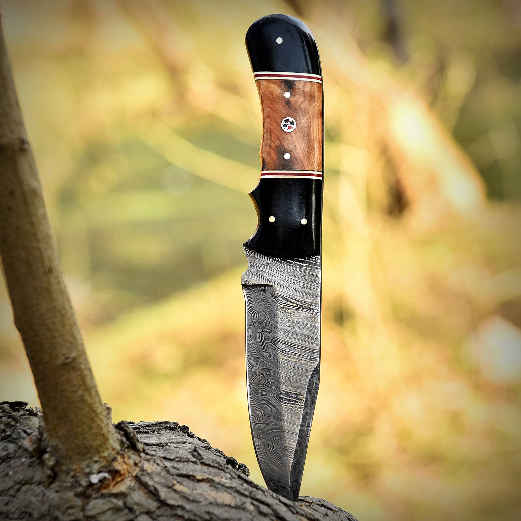 Deer Edge - Wholesale Pocket Knife/Holder - Damascus Steel Fixed Blade Hunting Knife with Wood Handle7